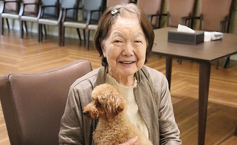 犬とのふれあい