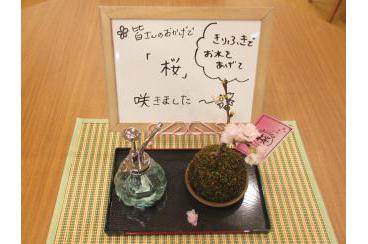 一足先に春到来