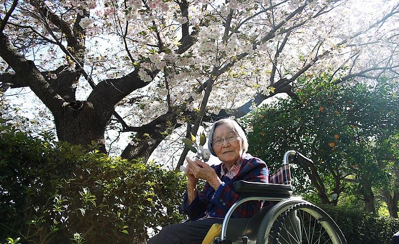 今年も咲いた八重桜