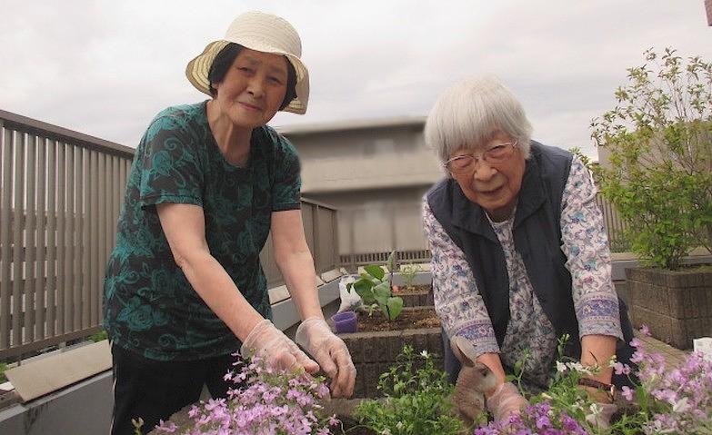 今年も園芸倶楽部の時期になりました！