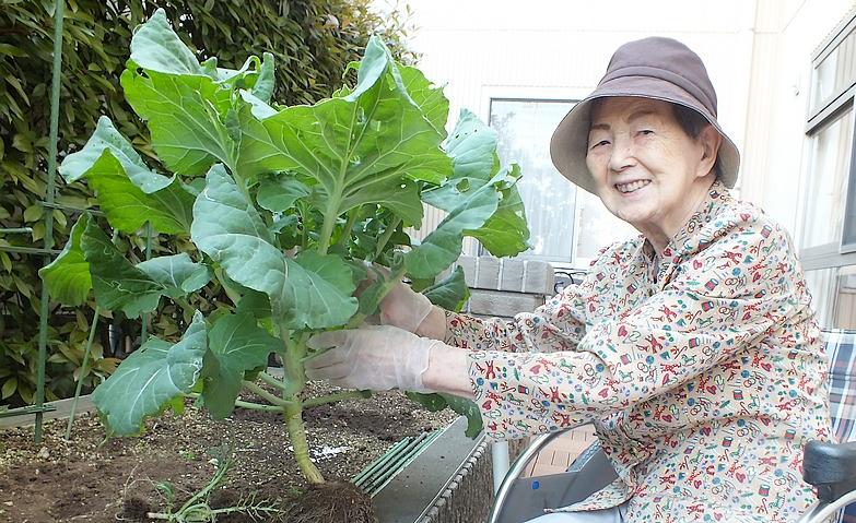 園芸クラブ
