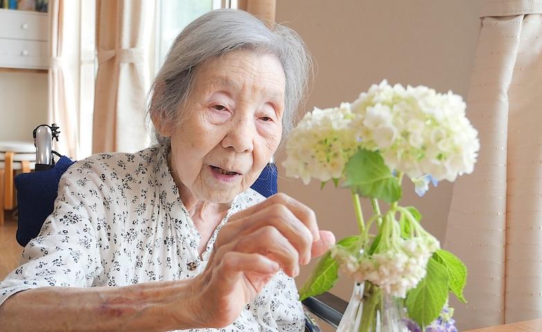 室内で楽しむアジサイの美しさ