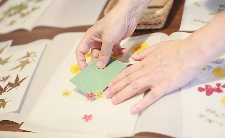 押し花のしおり