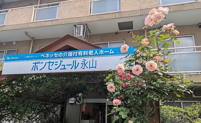 今年のバラは大輪です