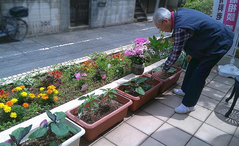 夏野菜を育てています！