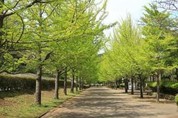 南郷上ノ山公園