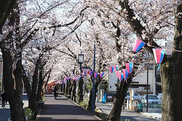 花と緑の散歩道