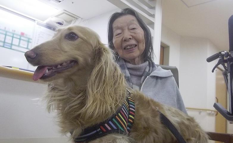 犬とのふれあい