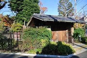 都会のオアシス(深沢の杜緑地等)