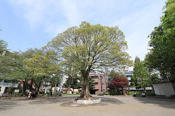 上り屋敷公園