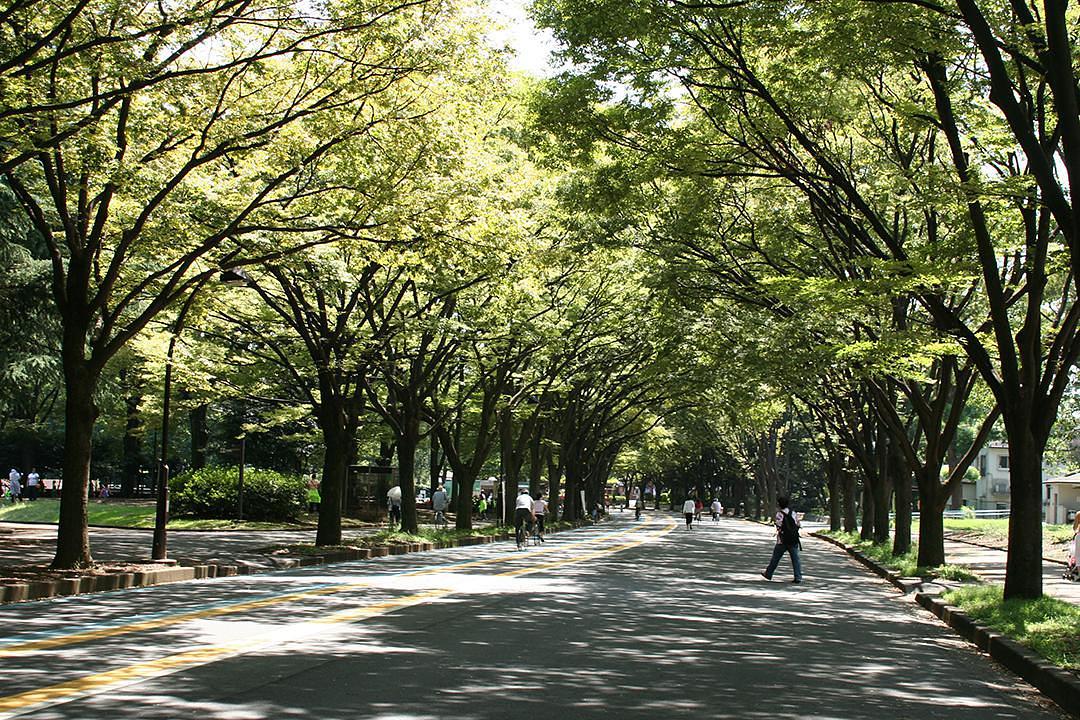 駒沢オリンピック公園