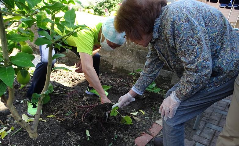 大収穫！～芋ほり～