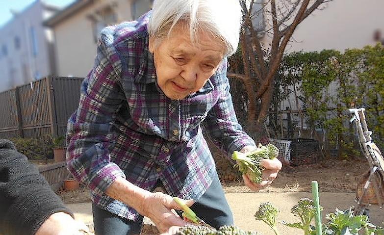収穫祭