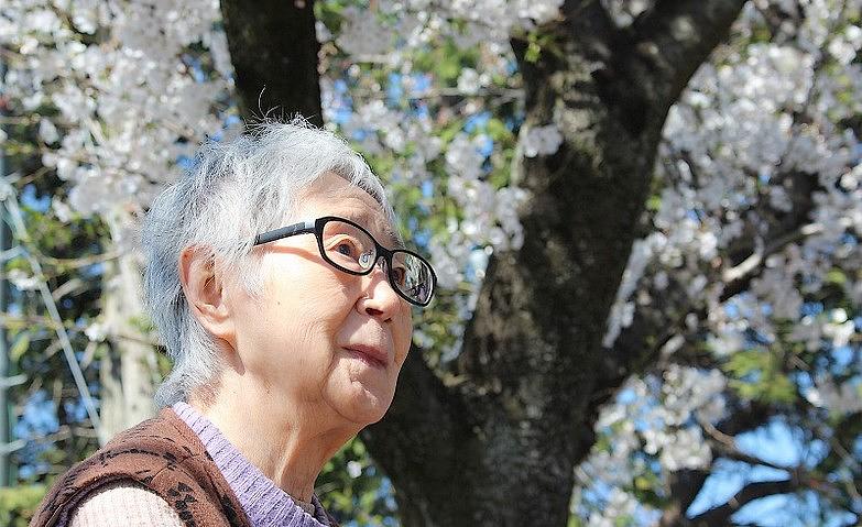 満開の桜にうっとり