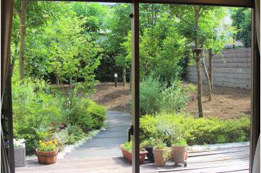 新緑。初夏を感じる中庭で画像2