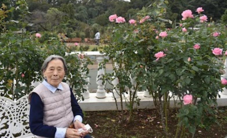 バラ園をお散歩