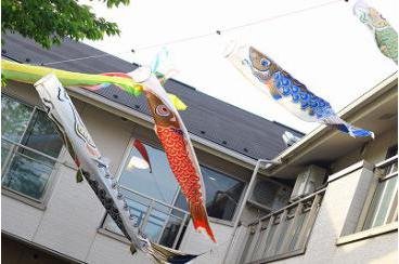 屋根より高い鯉のぼり画像1