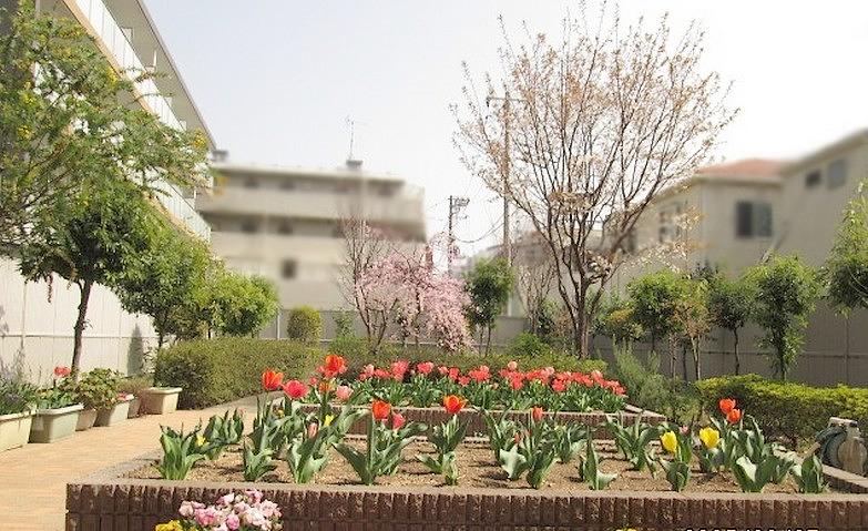 春の中庭			