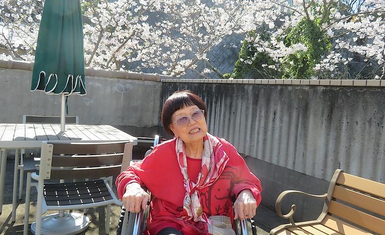 満開の桜を楽しむ、春のひととき