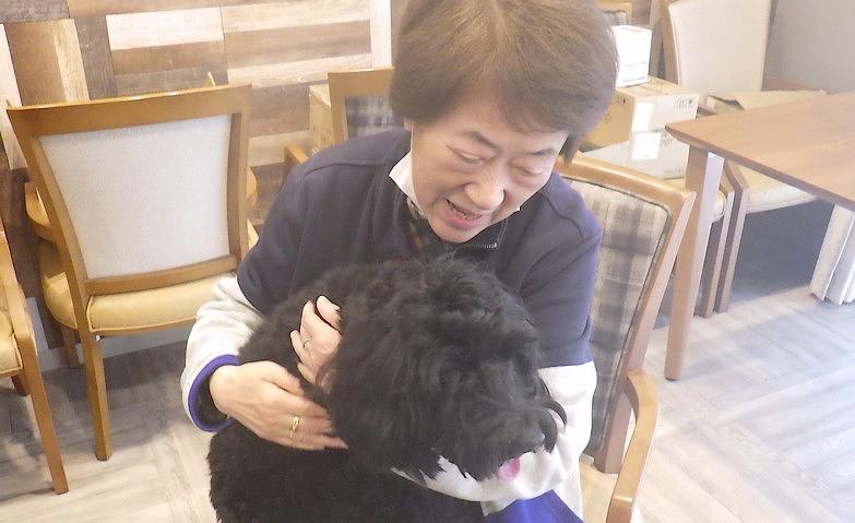 犬とのふれあい		