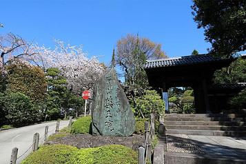 薬王院（東長谷寺）