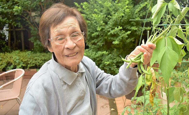 インゲンがたくさん採れました！