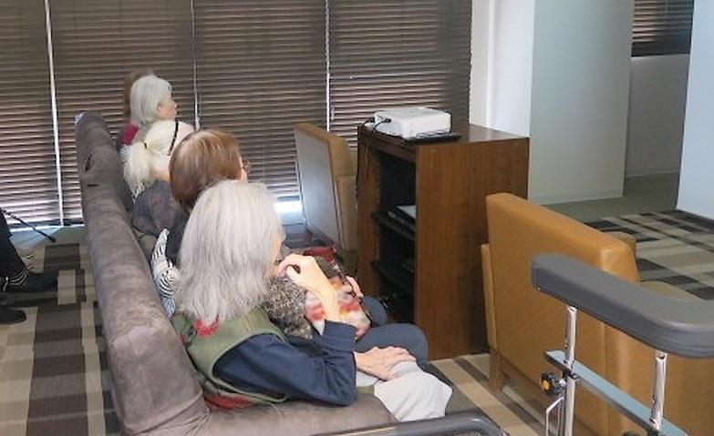 共通の趣味を楽しむ