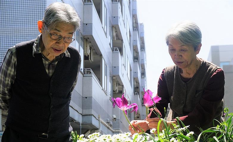 春の散策！お花が咲きました
