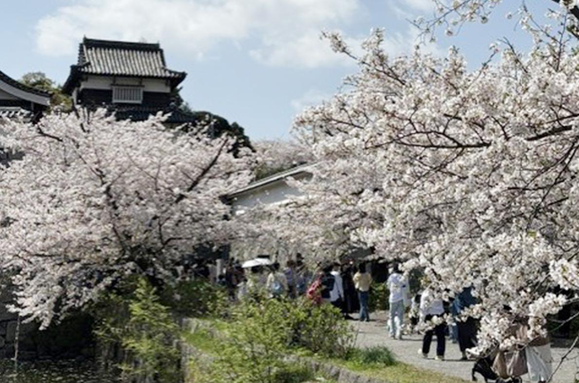 舞鶴公園