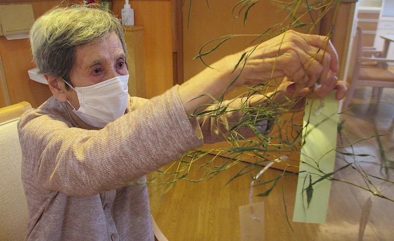 短冊を飾りましょう！			