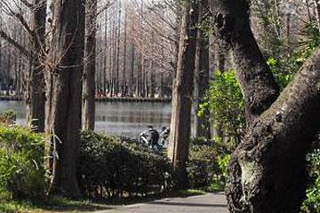 県立 別所沼公園