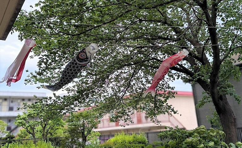 こいのぼり