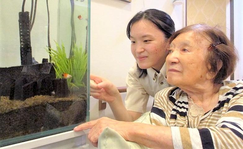 「くららの時間」～熱帯魚を眺めて～