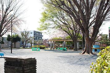 原谷公園