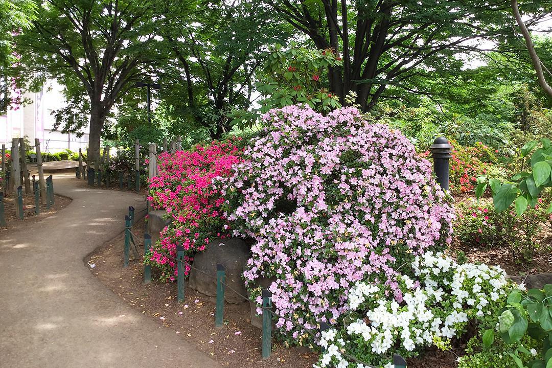 平成つつじ公園