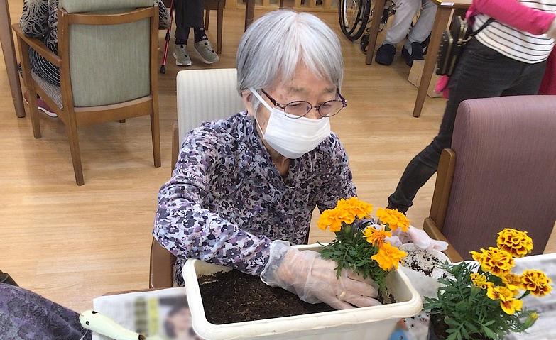 お花と触れ合うひととき