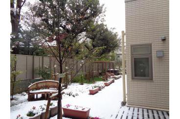 桜を彩る、春の雪。画像4