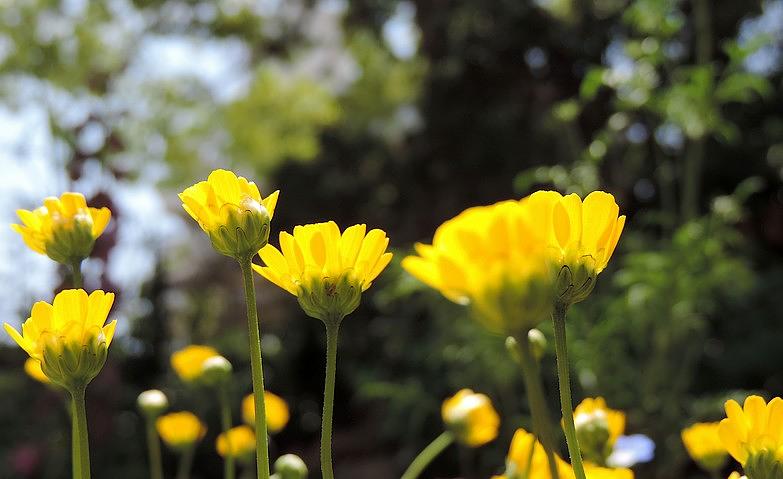 ご入居者様の1枚