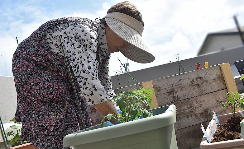 秋野菜を植えよう！			