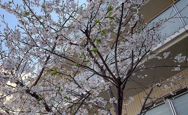 春のおとずれを感じて