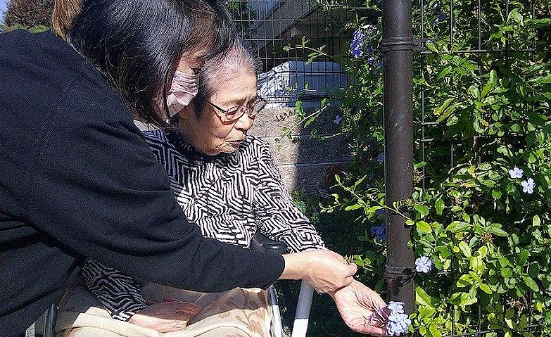 外出アクティビティ