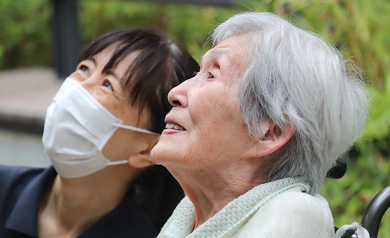 お散歩～猛暑の合間に～
