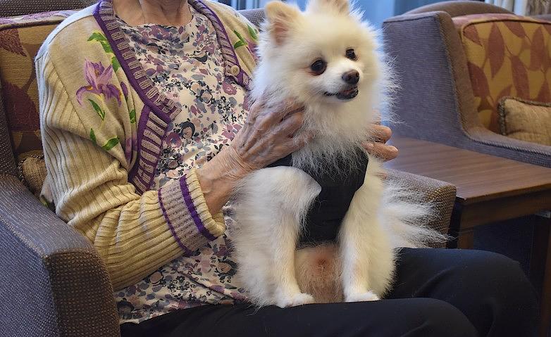 再会に笑顔広がる犬とのふれあい