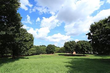 祖師谷公園