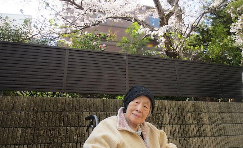 お花見