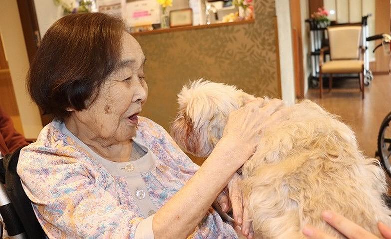 犬とのふれあい		