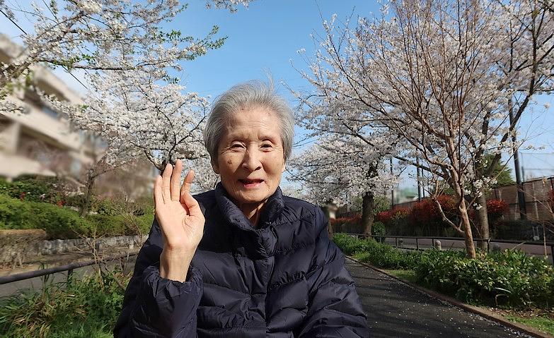 青空の下で桜観賞