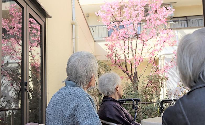 ウッドデッキにおとずれた、春の気配			