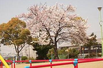 「人」「季節」を感じる公園