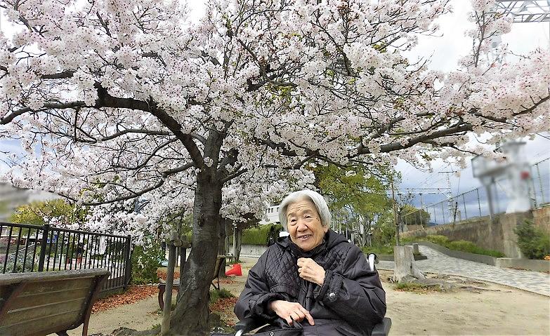 お花見しにお散歩へ